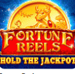 Fortune Reels